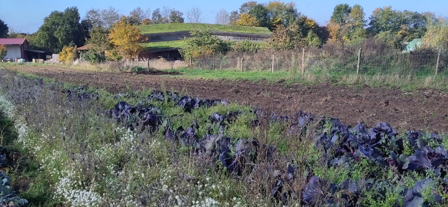 Gartenpost Oktober