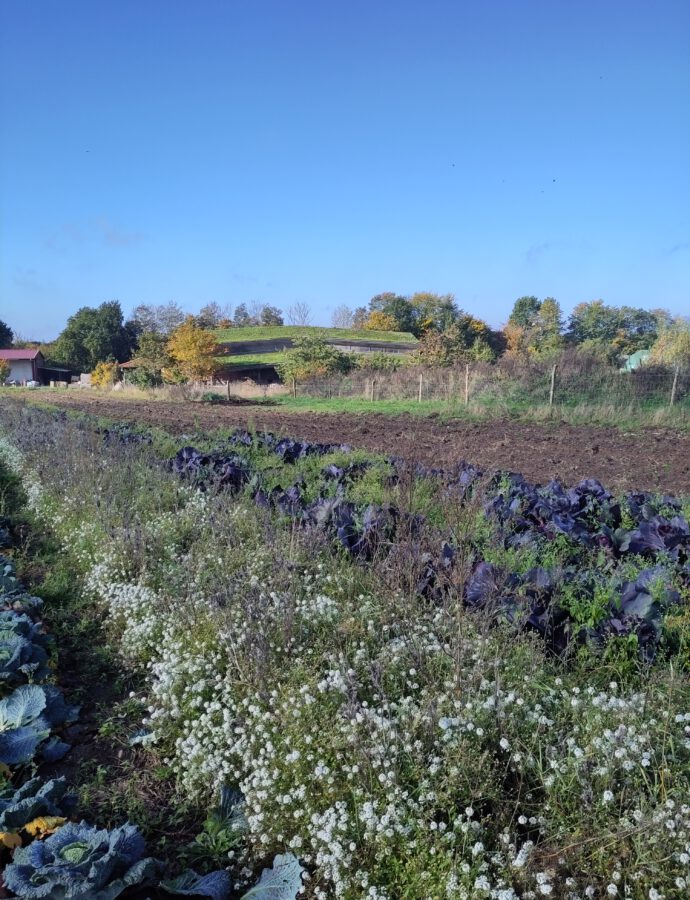 Gartenpost Oktober