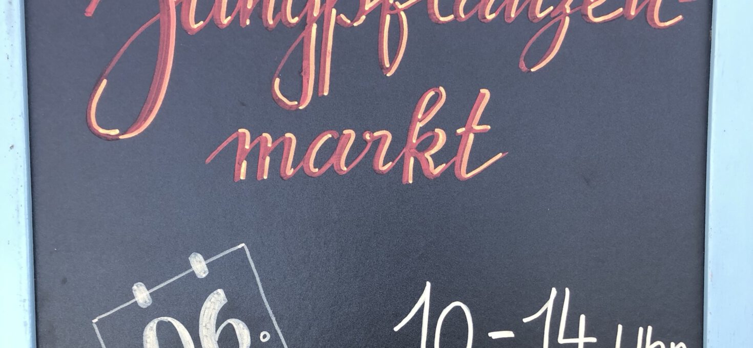 ???? Jungpflanzen Markt + Gartenführung am Samstag 06.05.