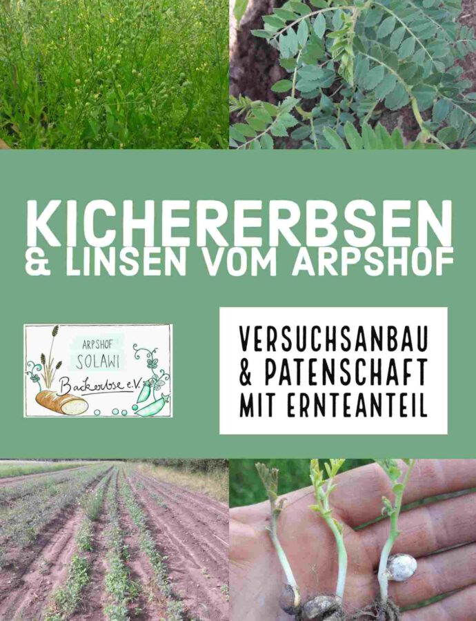 Bioanbau von Leguminosen auf dem Arpshof