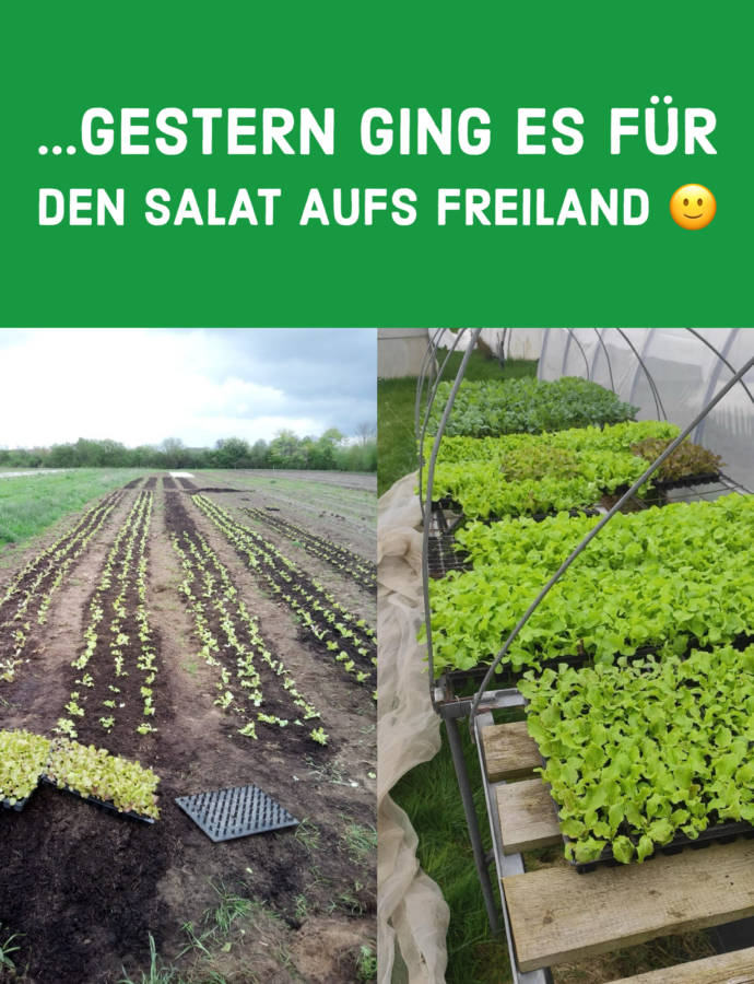 Ab aufs Freiland :)