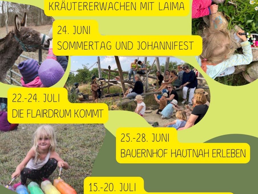☀️ Sommer Programm der Arpshof Pädagogik