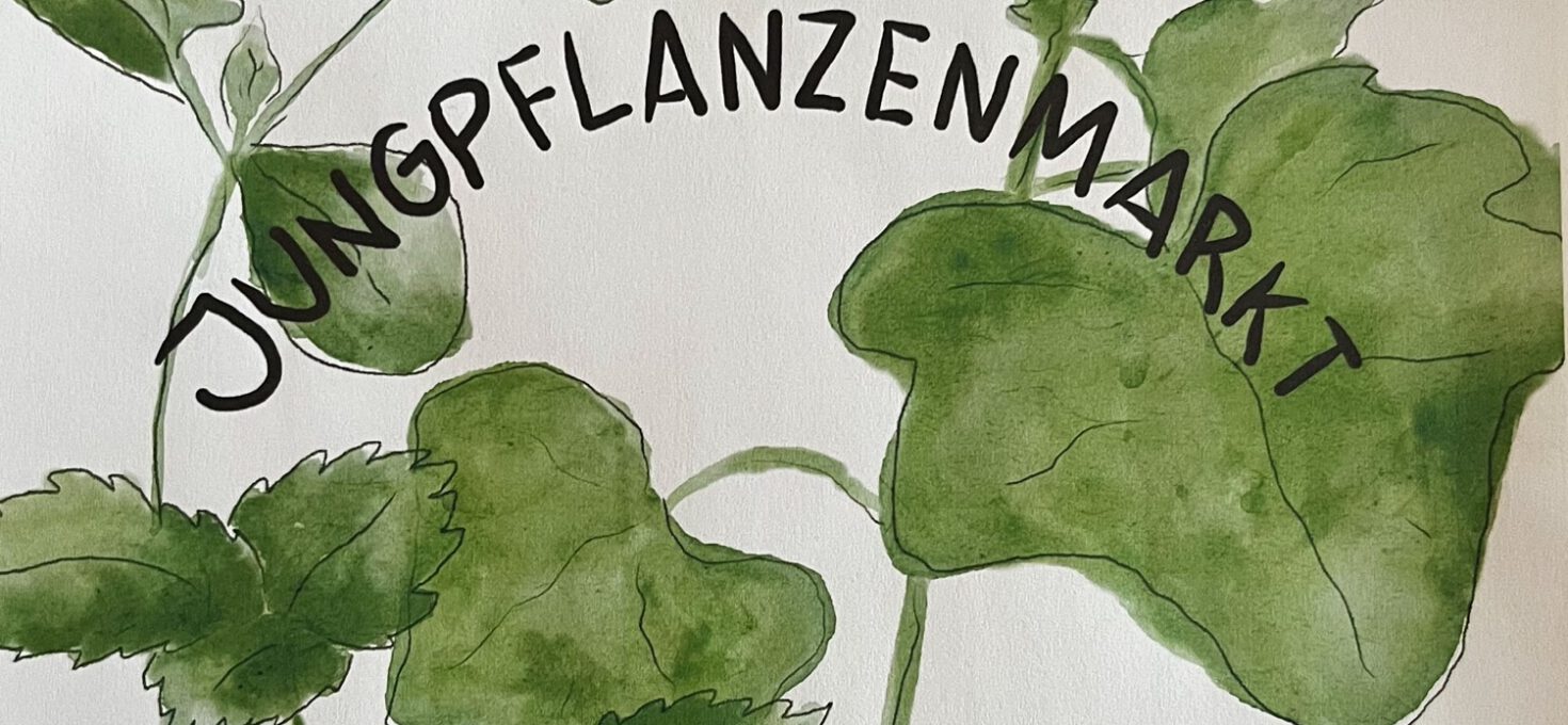 04.05. Jungpflanzenmarkt ????