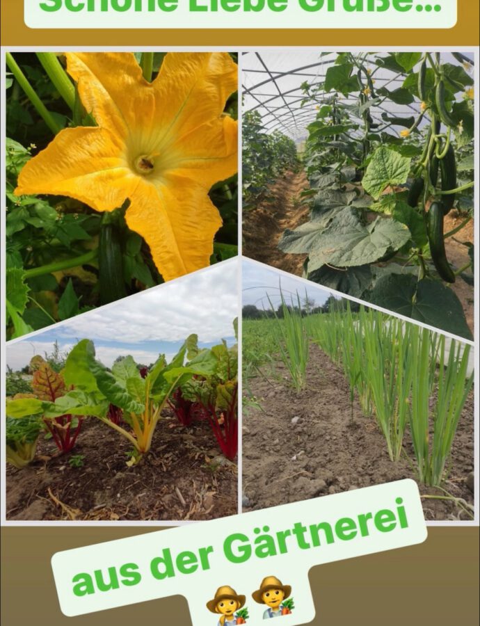Schöne liebe Grüße ????