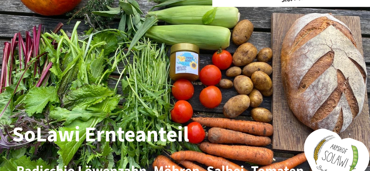Ernteanteil KW41