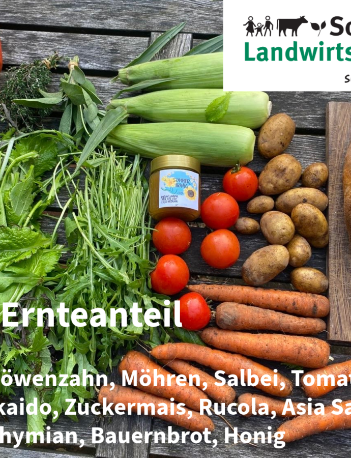Ernteanteil KW41