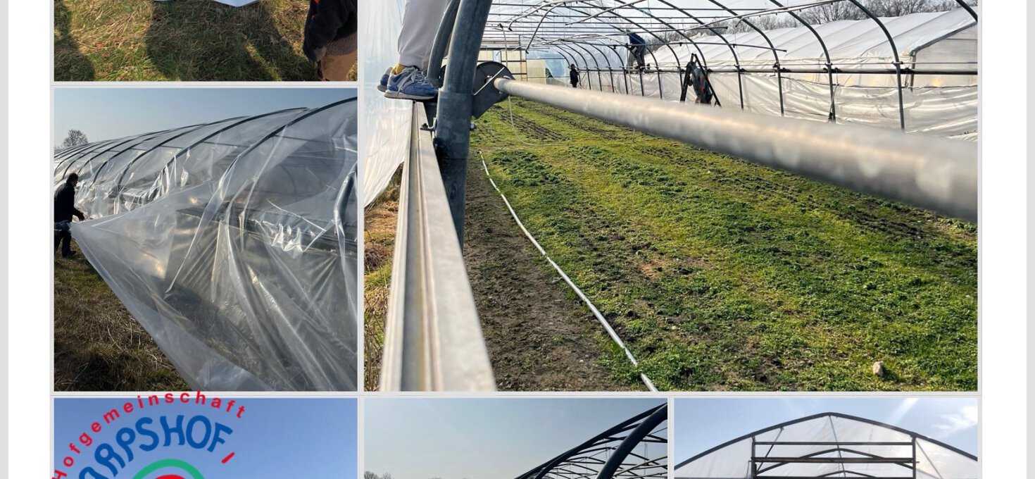 Folientunnel Einsatz 💪
