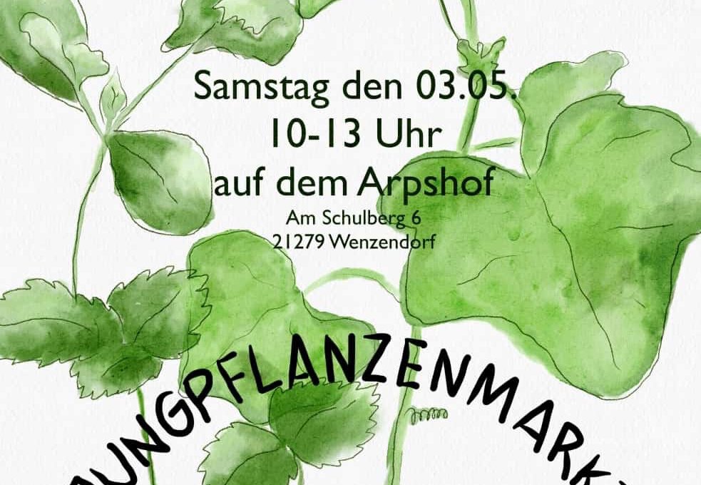 Jungpflanzenmarkt Samstag, 03.05.
