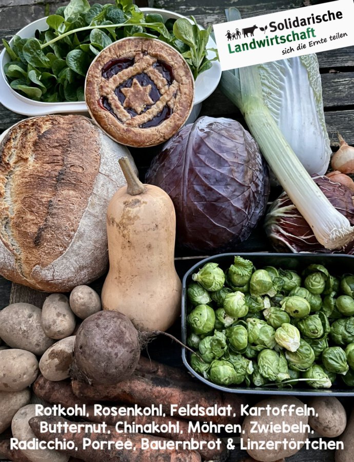 Festlicher Ernteanteil 🎄