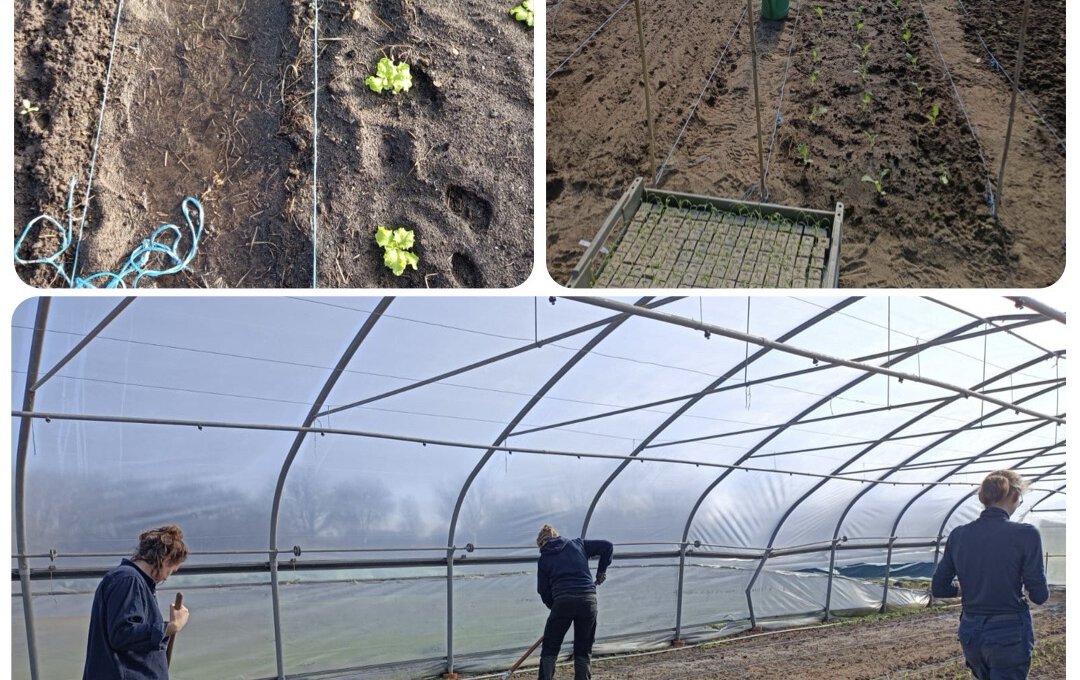 Es geht wieder los 🌱