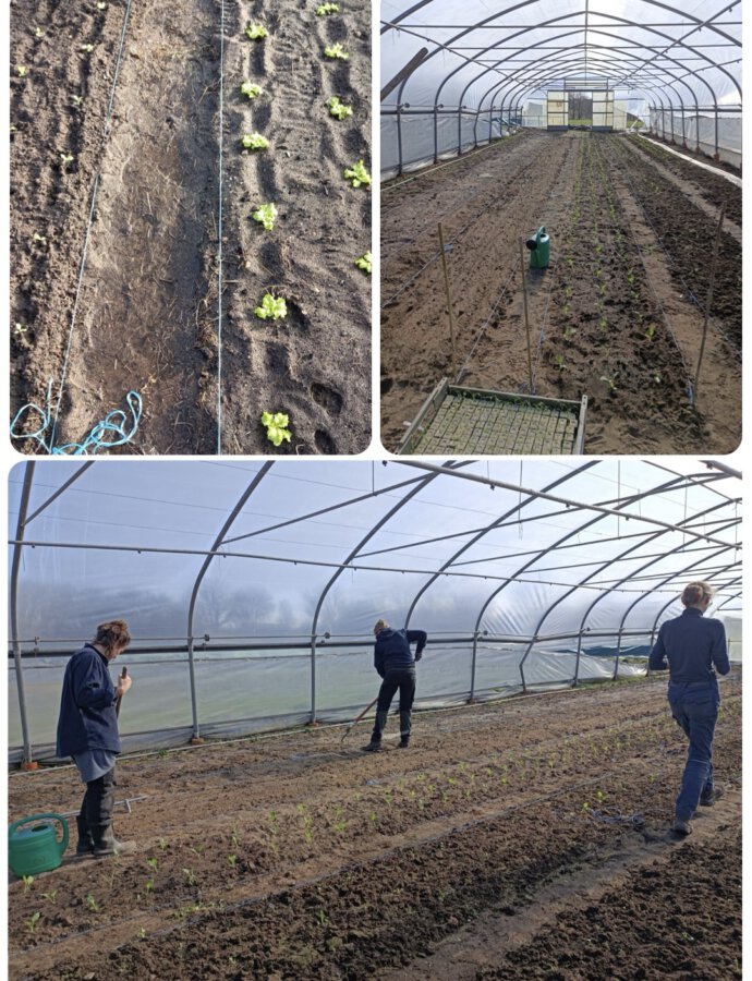 Es geht wieder los 🌱