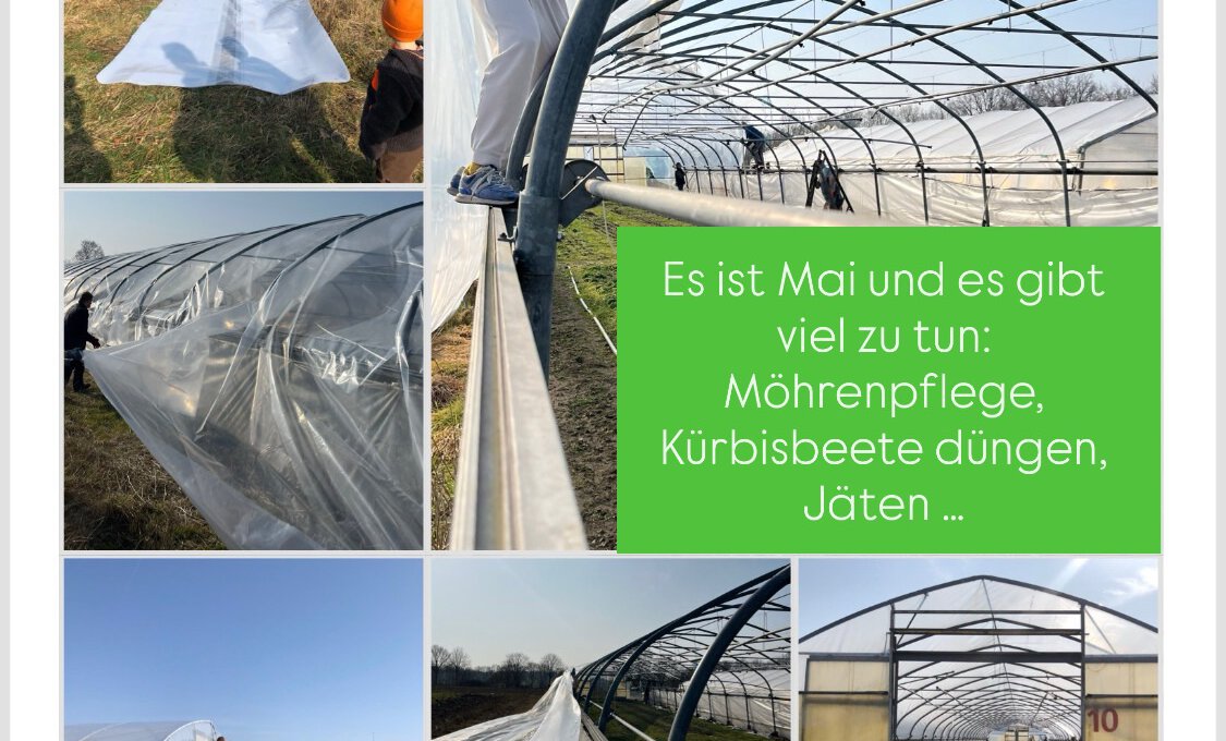 Solawi Aktionstag 16.05