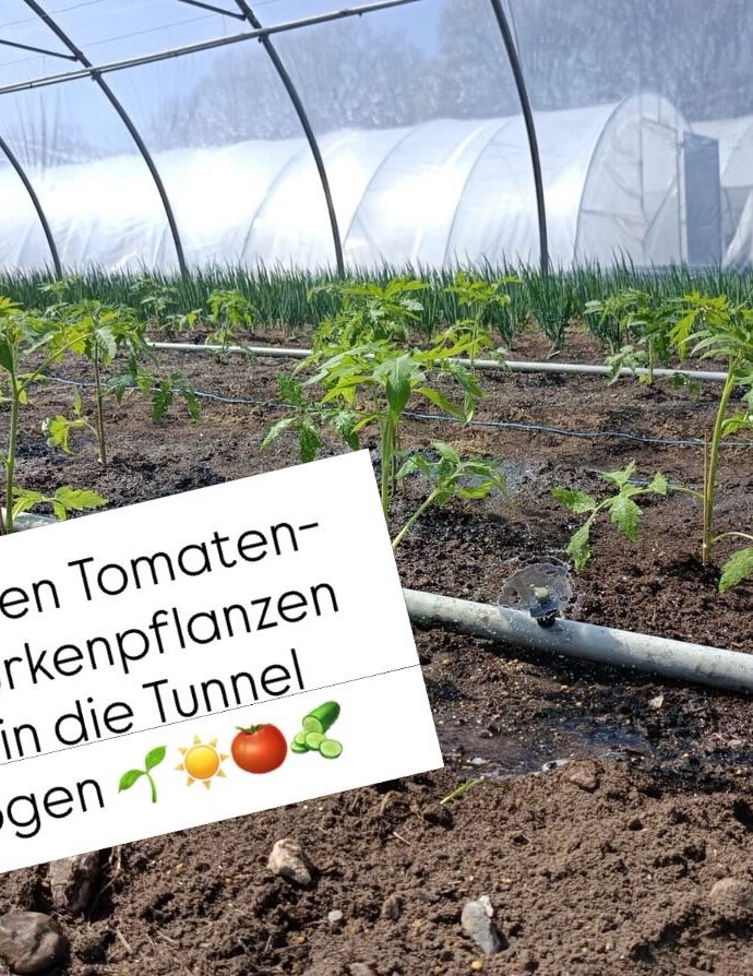 Schöne liebe Grüße 💚